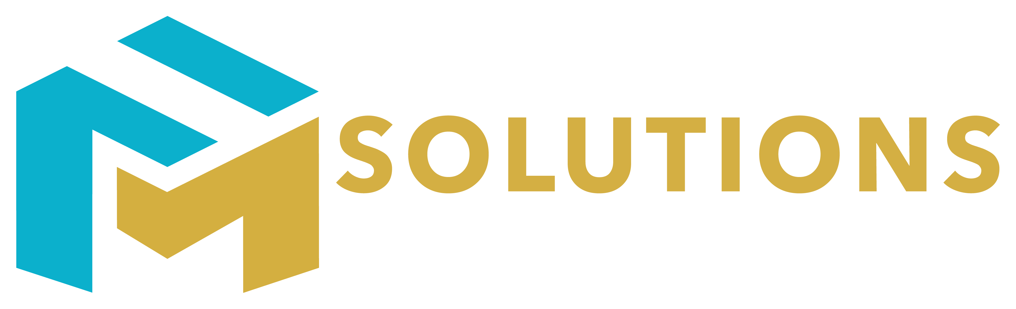 Fady Massoud Solutions logo